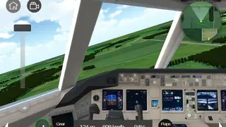 Flight Sim screenshot