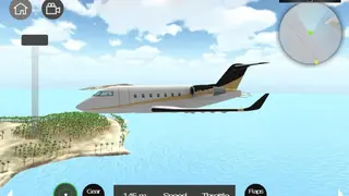 Flight Sim screenshot