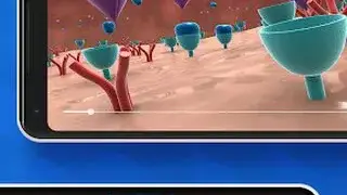 Fliplearn screenshot
