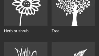 Flora Incognita screenshot