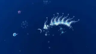 Flow screenshot