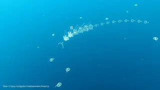 Flow screenshot