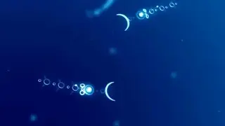 Flow screenshot