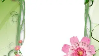 Flower Photo Frames screenshot