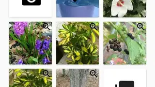 FlowerChecker+ screenshot
