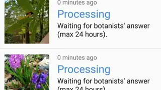 FlowerChecker+ screenshot