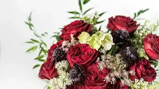 Flowers Images Gif 2019 screenshot