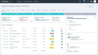 Flowlu screenshot