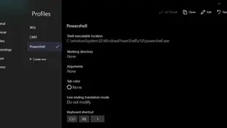 Fluent Terminal screenshot
