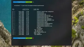 Fluent Terminal screenshot