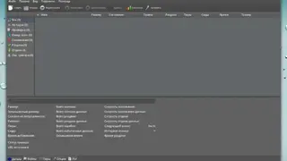 Flush screenshot