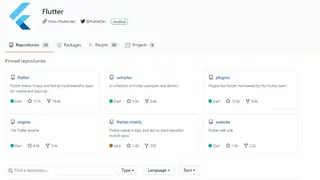 Flutter screenshot