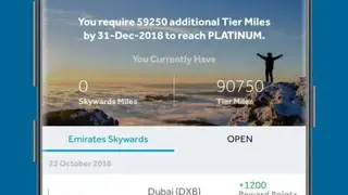 flydubai screenshot