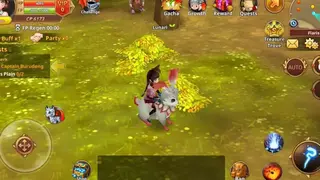 Flyff screenshot