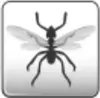 FlyingAnt