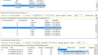 FlySpeed SQL Query screenshot