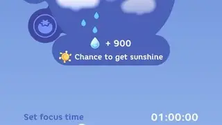 Focus Plant screenshot