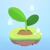 Focus Plant