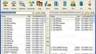 Foldermatch screenshot
