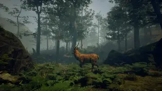 Folklore Hunter screenshot
