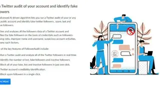 FollowerAudit screenshot