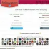 Followerion