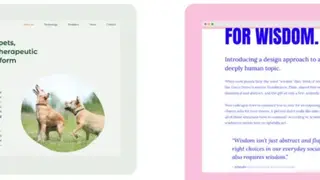 Font Pair screenshot