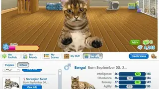 FooPets screenshot