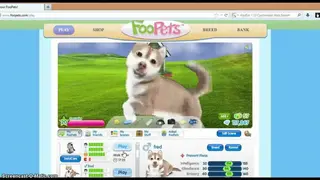 FooPets screenshot