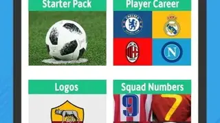 Football Pics Quiz screenshot