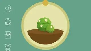 Forest Stay focused screenshot