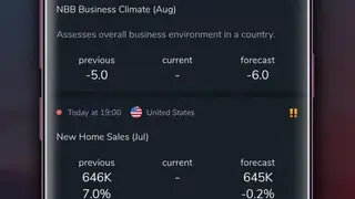 Forex Portal screenshot