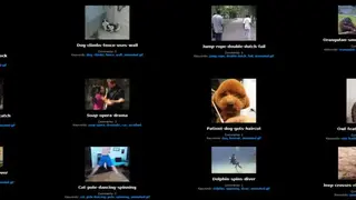 Forgifs screenshot