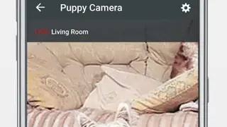 Foscam IP Cam Viewer by OWLR screenshot