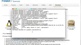 Fossil screenshot