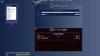Fotoforensics screenshot