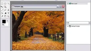 Fotografix screenshot