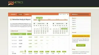 FoxMetrics screenshot