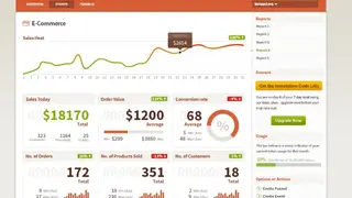 FoxMetrics screenshot