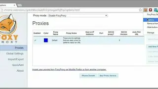 FoxyProxy screenshot