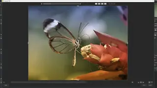 Franzis Color Projects 6 screenshot