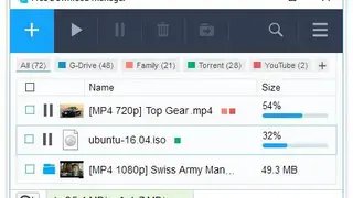 Free Download Manager screenshot