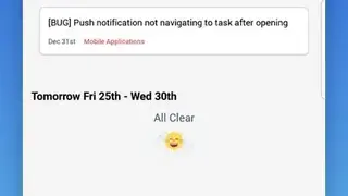 Freedcamp screenshot