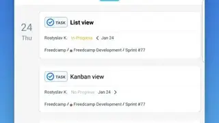 Freedcamp screenshot