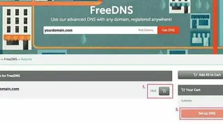 FreeDNS screenshot