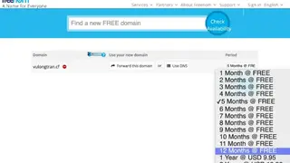 Freenom screenshot