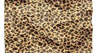 FreeStocktextures screenshot