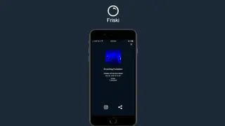 Friski screenshot