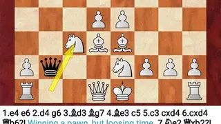 Fritz screenshot