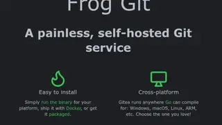 Frog Git screenshot